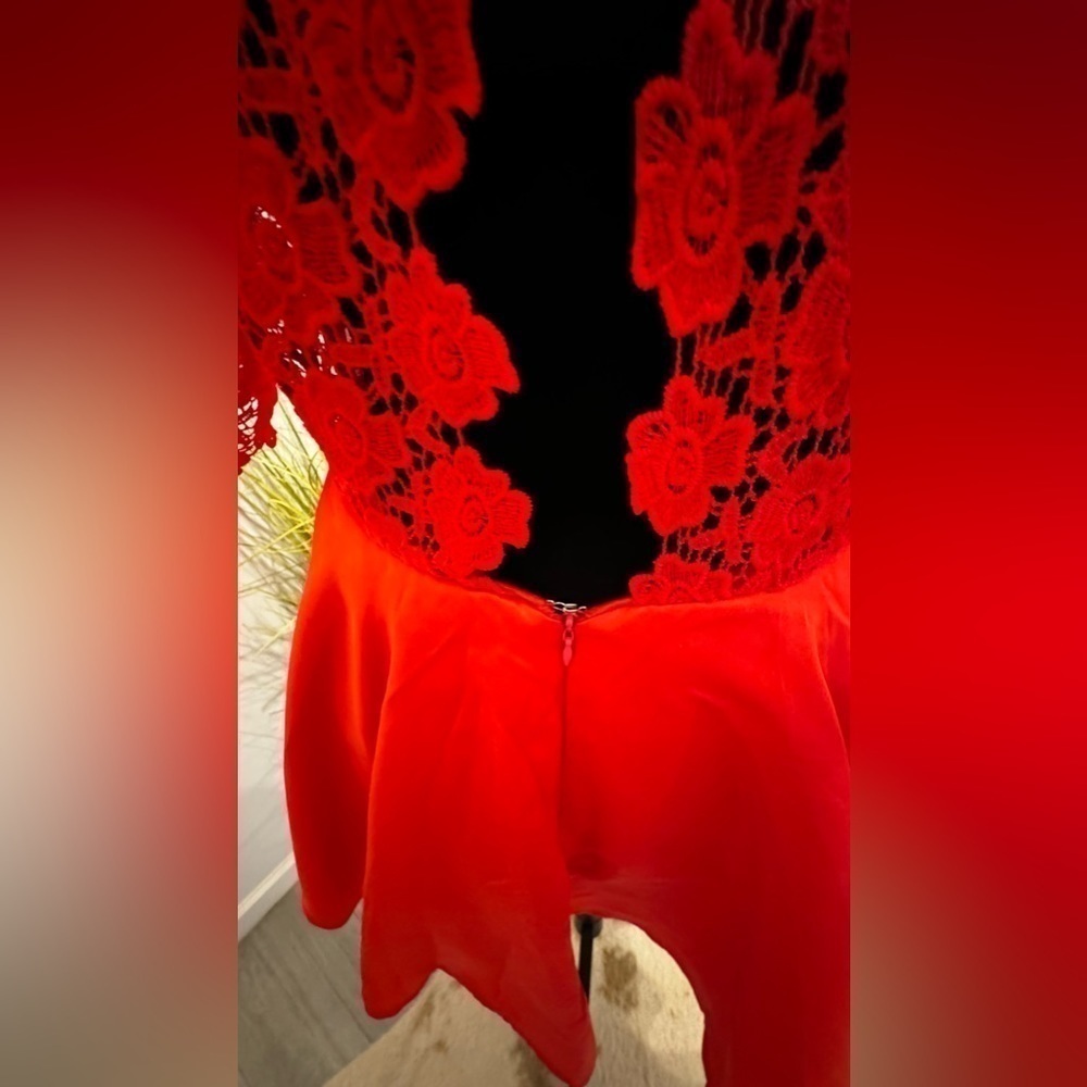 Red Lace and Satin Dress - Picture 8 of 12